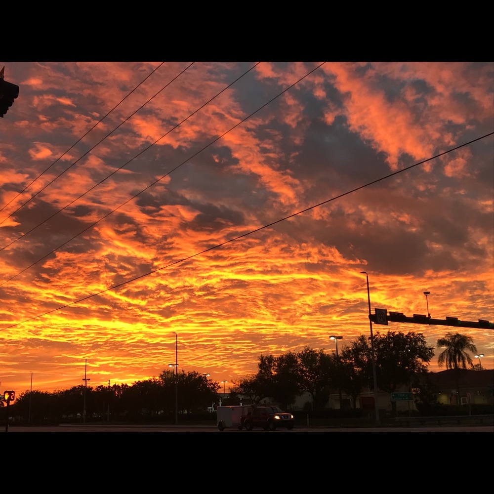 Meet your Posher, Ddorothy